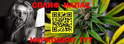 spice Обь
