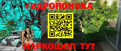 spice Обнинск