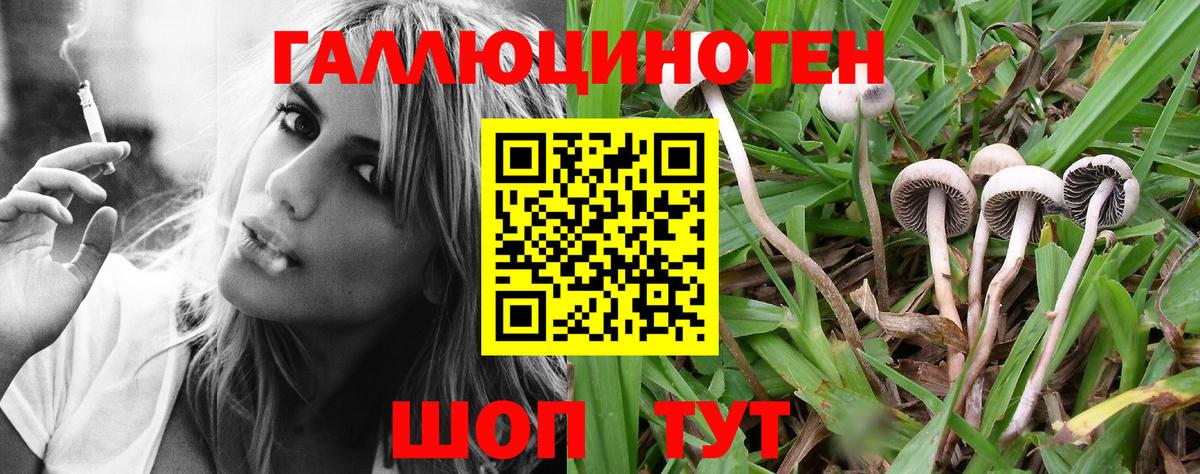 Галлюциногенные грибы мицелий  Галлюциногенные грибы MAGIC MUSHROOMS  Вход с VPN  Торжок 