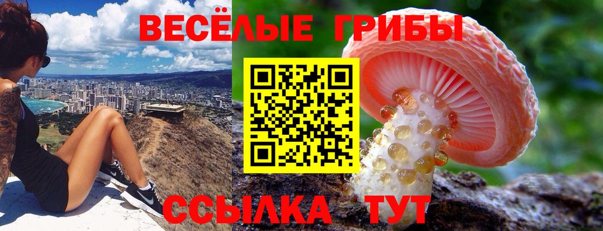 Псилоцибиновые грибы Magic Shrooms Торжок
